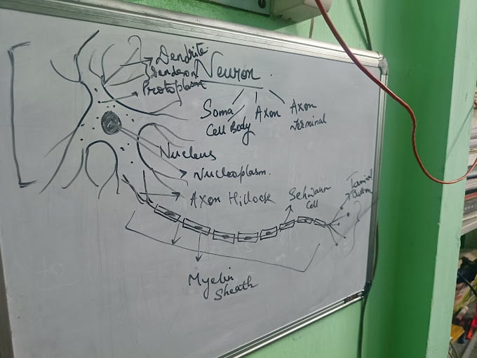 Uploaded Image