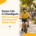 Sector Life in Chandigarh: Why Community Parenting Still Works There