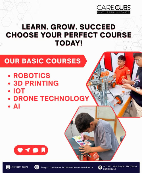 Care Cubs Panchkula-Robotics and Future Tech Courses