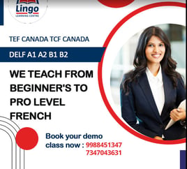 Lingo Learning French Academy-French Language Classes for Beginners