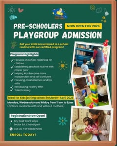 Tiny Feet Giant Leaps-Preschooler Playgroup School Readiness Program 2026