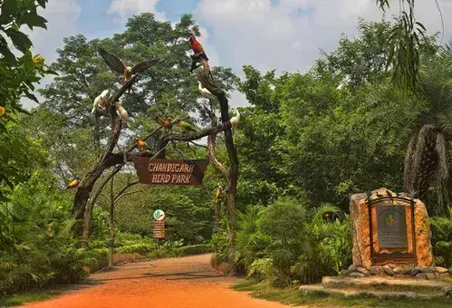 Chandigarh Bird Park