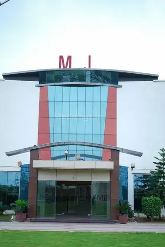 MJ Farm