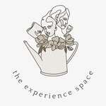 The Experience Space